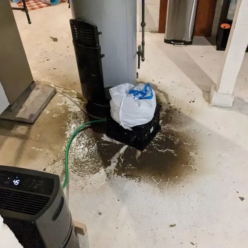 Sewage Backup Cleanup Service in West Leechburg, PA